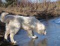 podhalan_03219 (2)